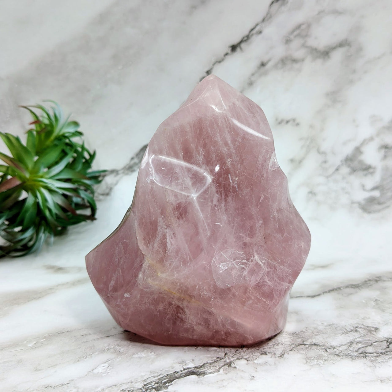 Rose Quartz 4.5’ Flame Freeform #LV4641 on Marble Table - Pink Quartz Stone Display