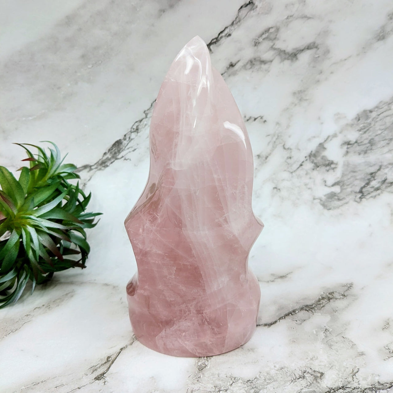 Rose Quartz Crystal Point - 6.7’ Flame Freeform #LV4640 Displayed