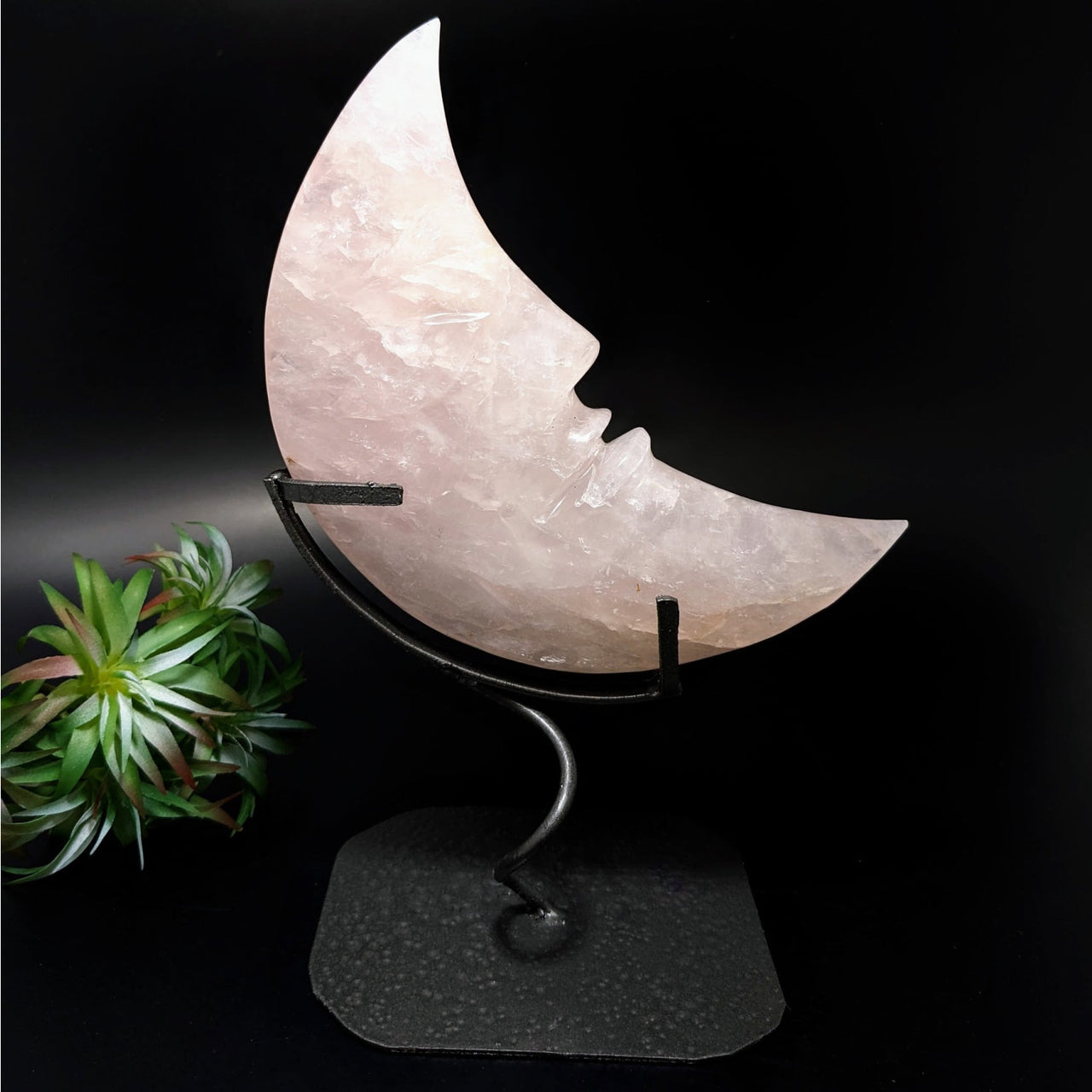 Rose Quartz Moon Carving on Black Stand - 7.3’ Pink Quartz Stone Moon #LV4401