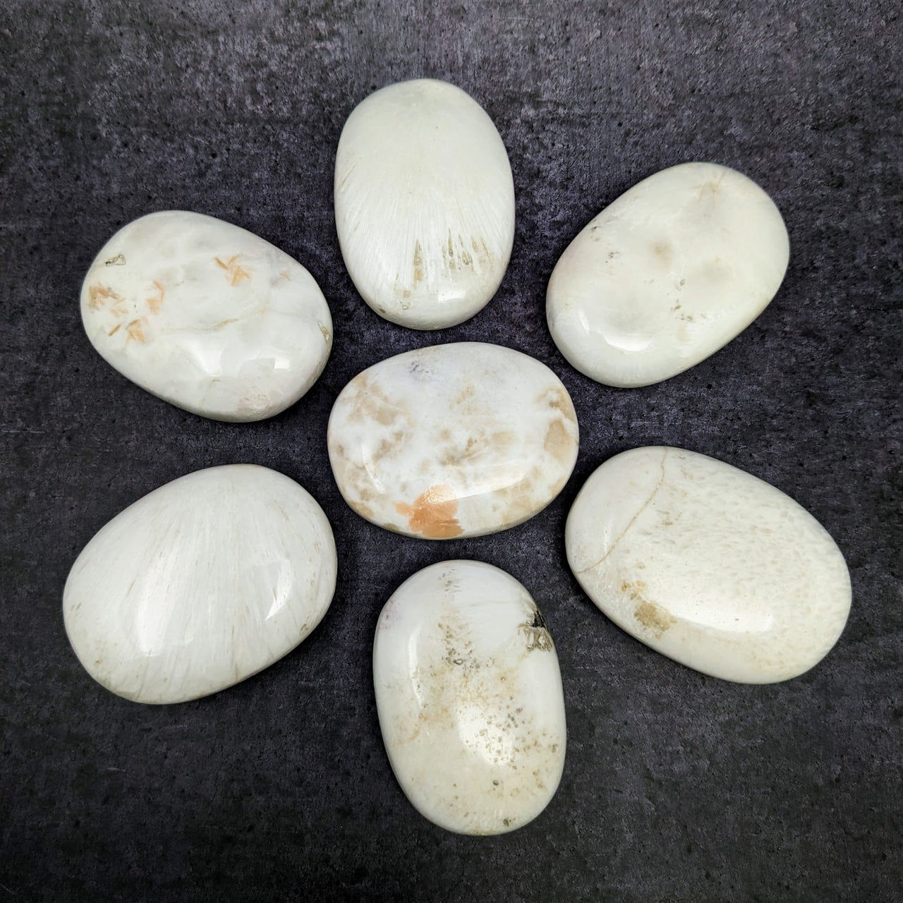 Scolecite Jumbo Palm Stone: White stones with brown spots for crystal healing #LV2270