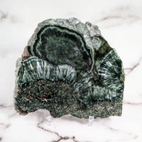 Thumbnail for Green quartzite slab SK9810 with white and black vein, flat shape for sale