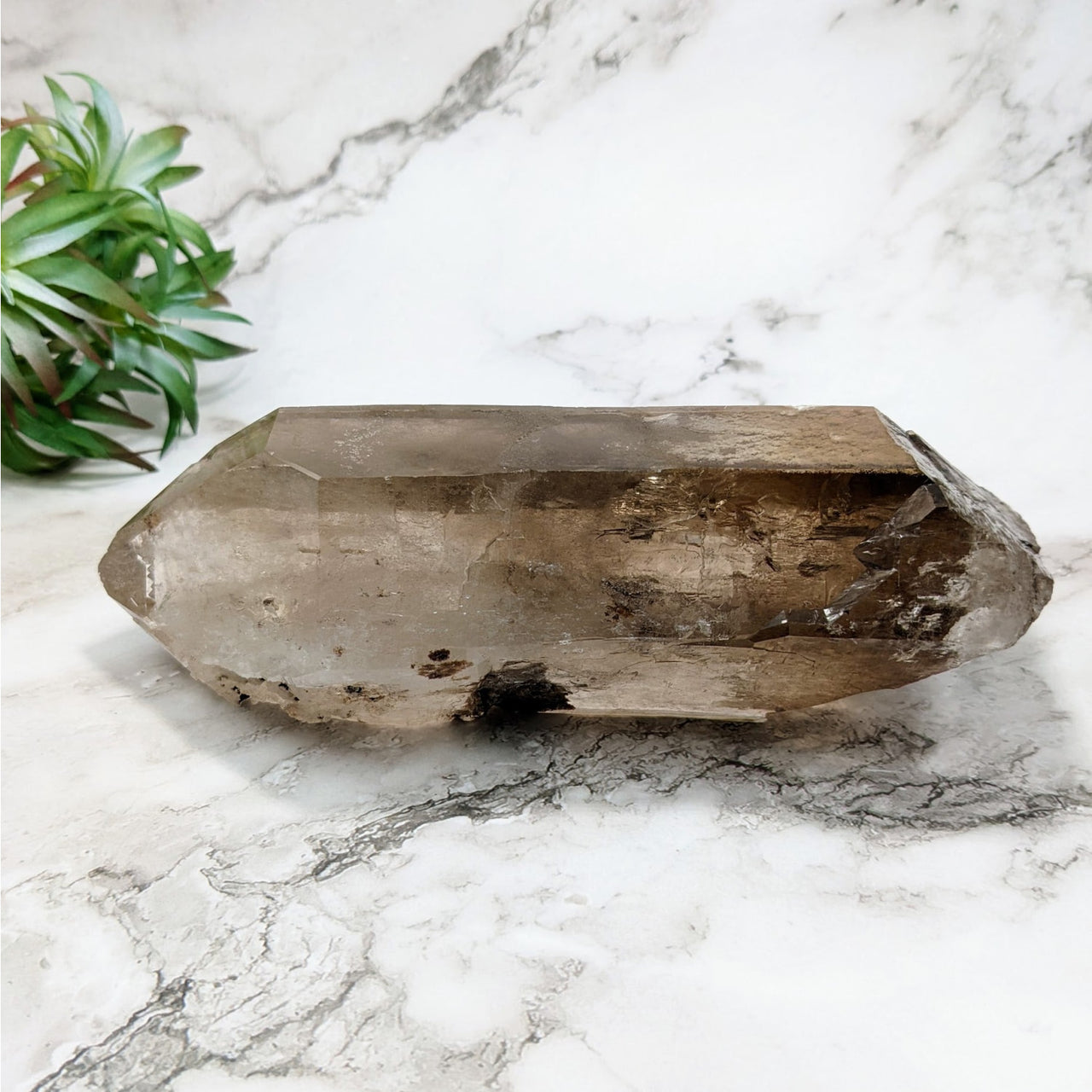 Large smoky quartz rough point with a small rock piece in the center, 7.5’ #LV4329