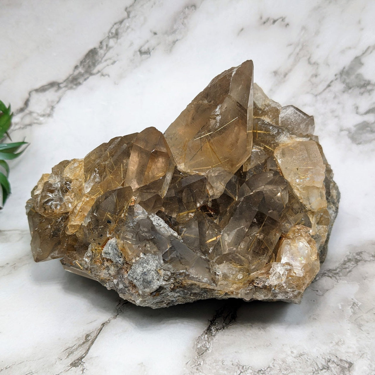 Smoky Quartz 7’ Gold Rutilated Cluster on marble slab - Product #LV4073