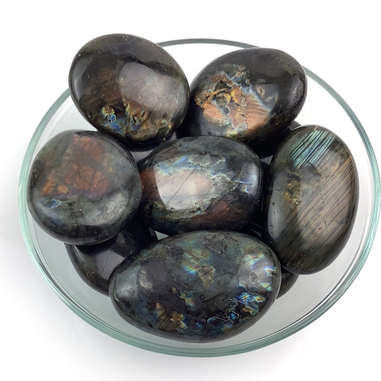 Madagascar Spectralite Labradorite Palm Small #SK1369