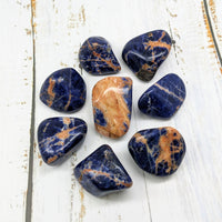 Thumbnail for Sunset Sodalite Tumble #SK5894: Dark blue and orange jasperite stones for sale