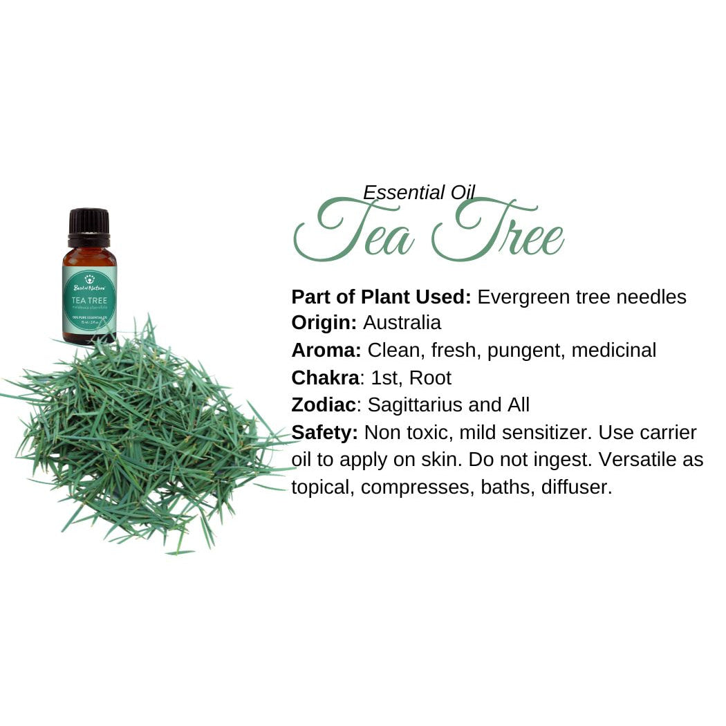 Tea Tree Essential Oil Info Card #Q073 highlighting benefits of essential oil for the skin