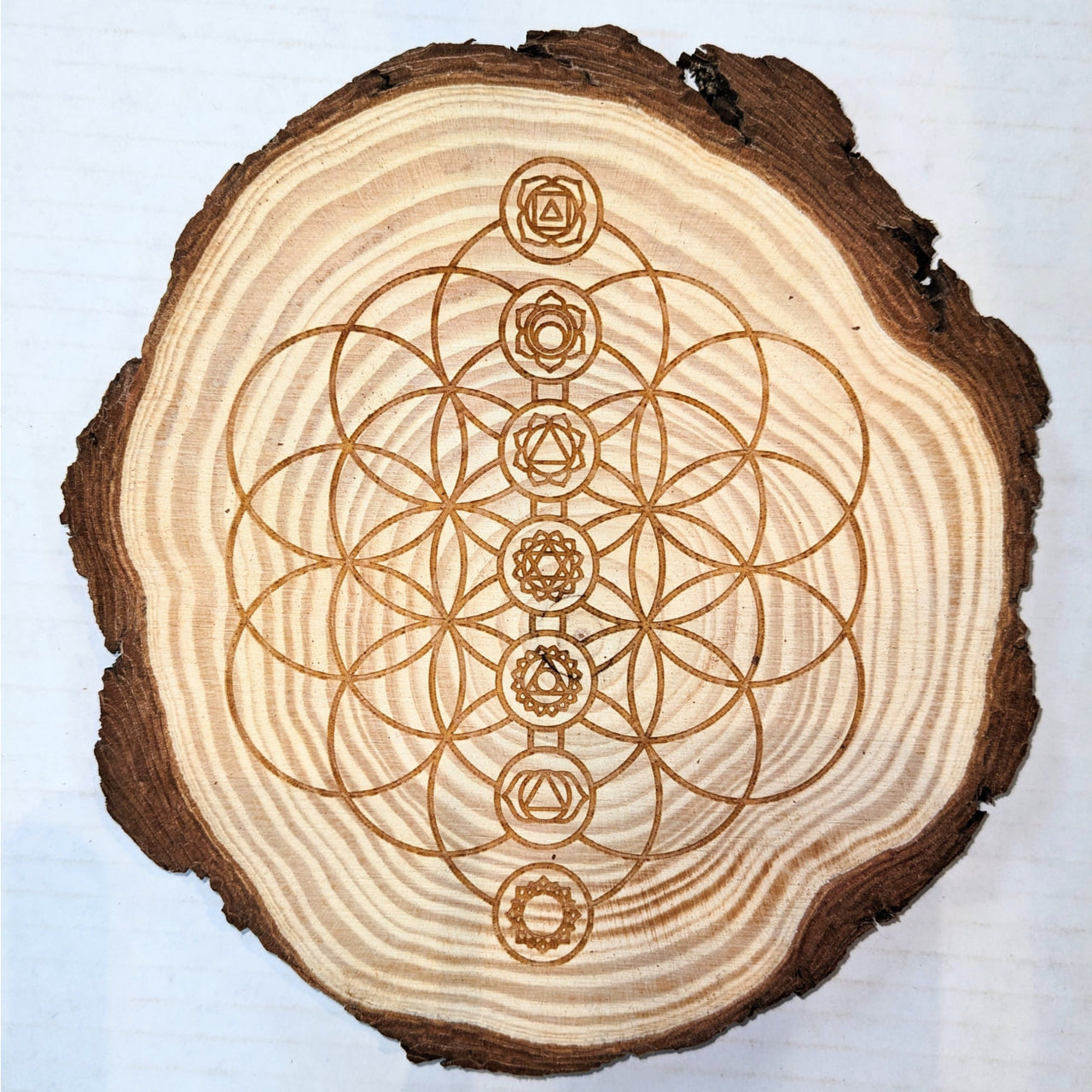 Laser etched flower design on Tree Trunk Wood Grid 6.5’ #K202 wooden slice