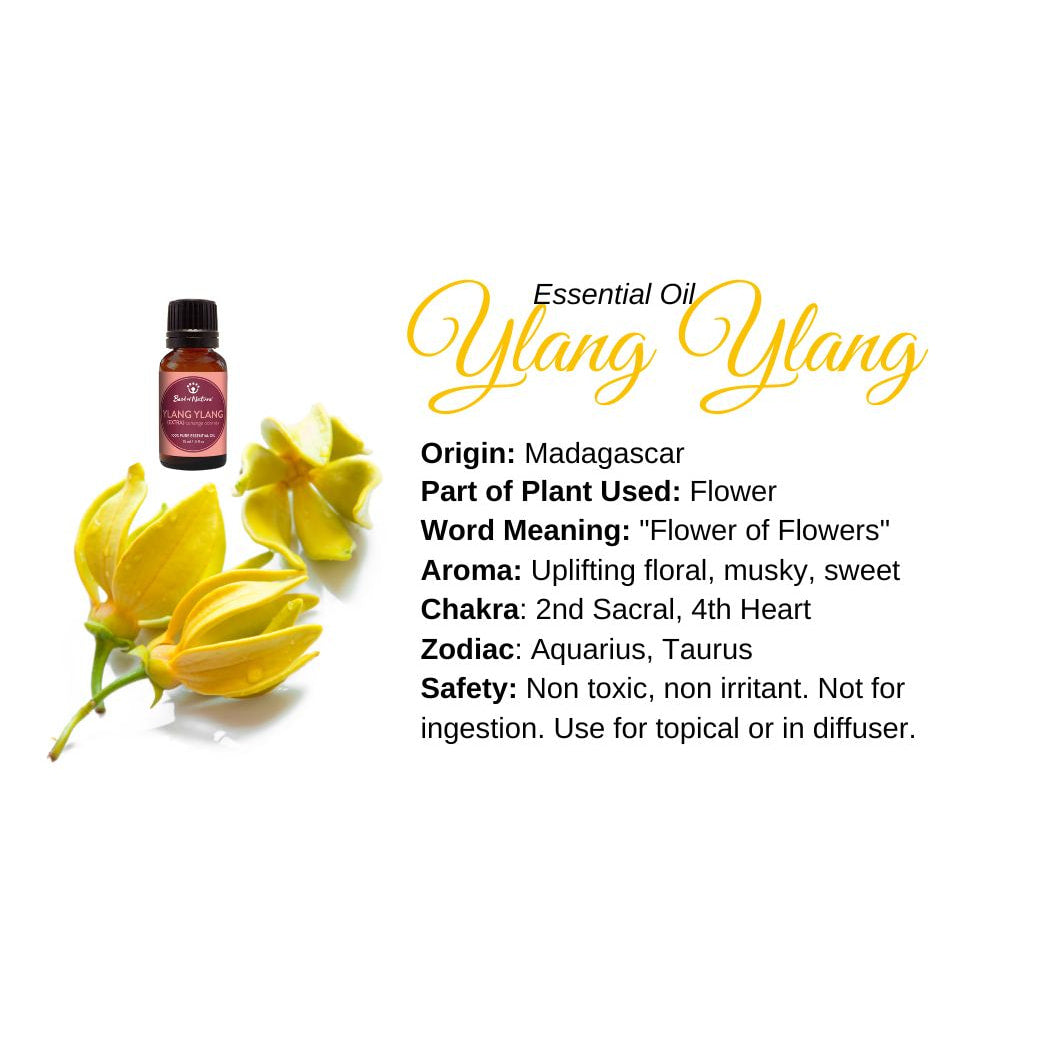 Ylang Ylang Essential Oil for Skin - Info Card #Q077 with Usage and Benefits