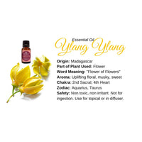 Thumbnail for Ylang Ylang Essential Oil for Skin - Info Card #Q077 with Usage and Benefits