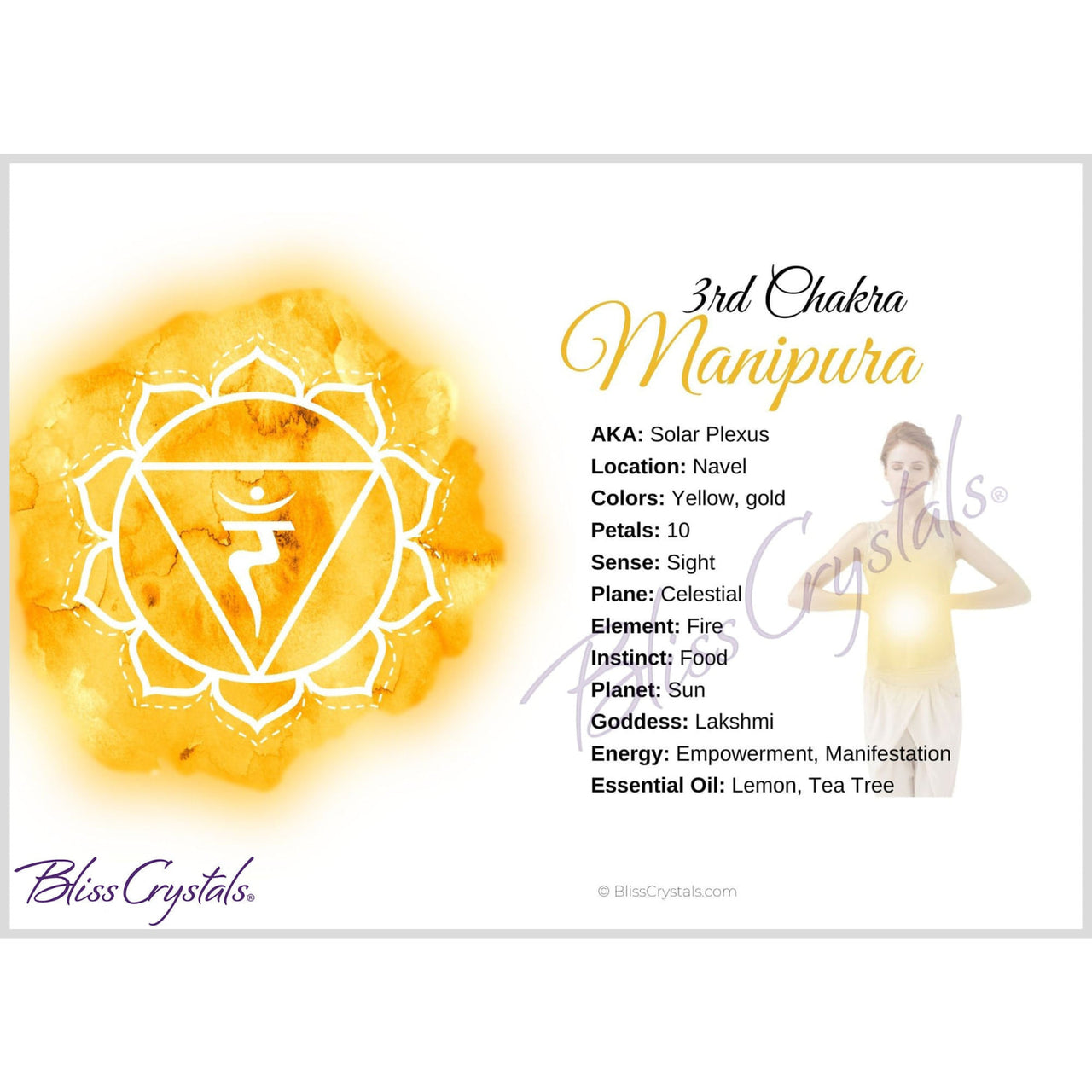 7 Chakra Information Card Set Double sided All 7 Chakra 