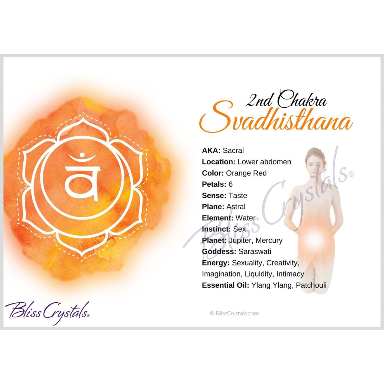 7 Chakra Information Card Set Double sided All 7 Chakra 