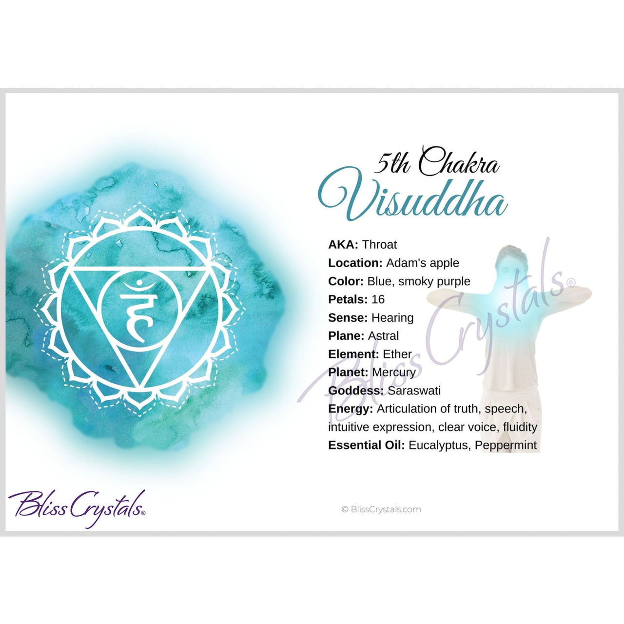 7 Chakra Information Card Set Double sided All 7 Chakra 