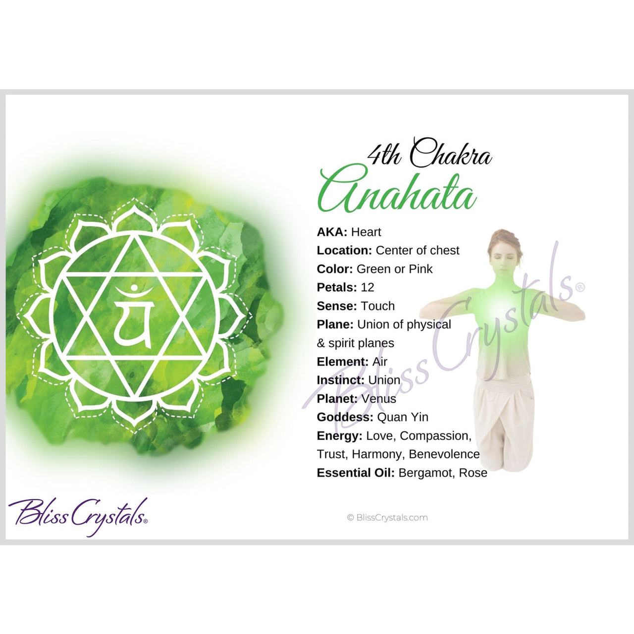 7 Chakra Information Card Set Double sided All 7 Chakra 