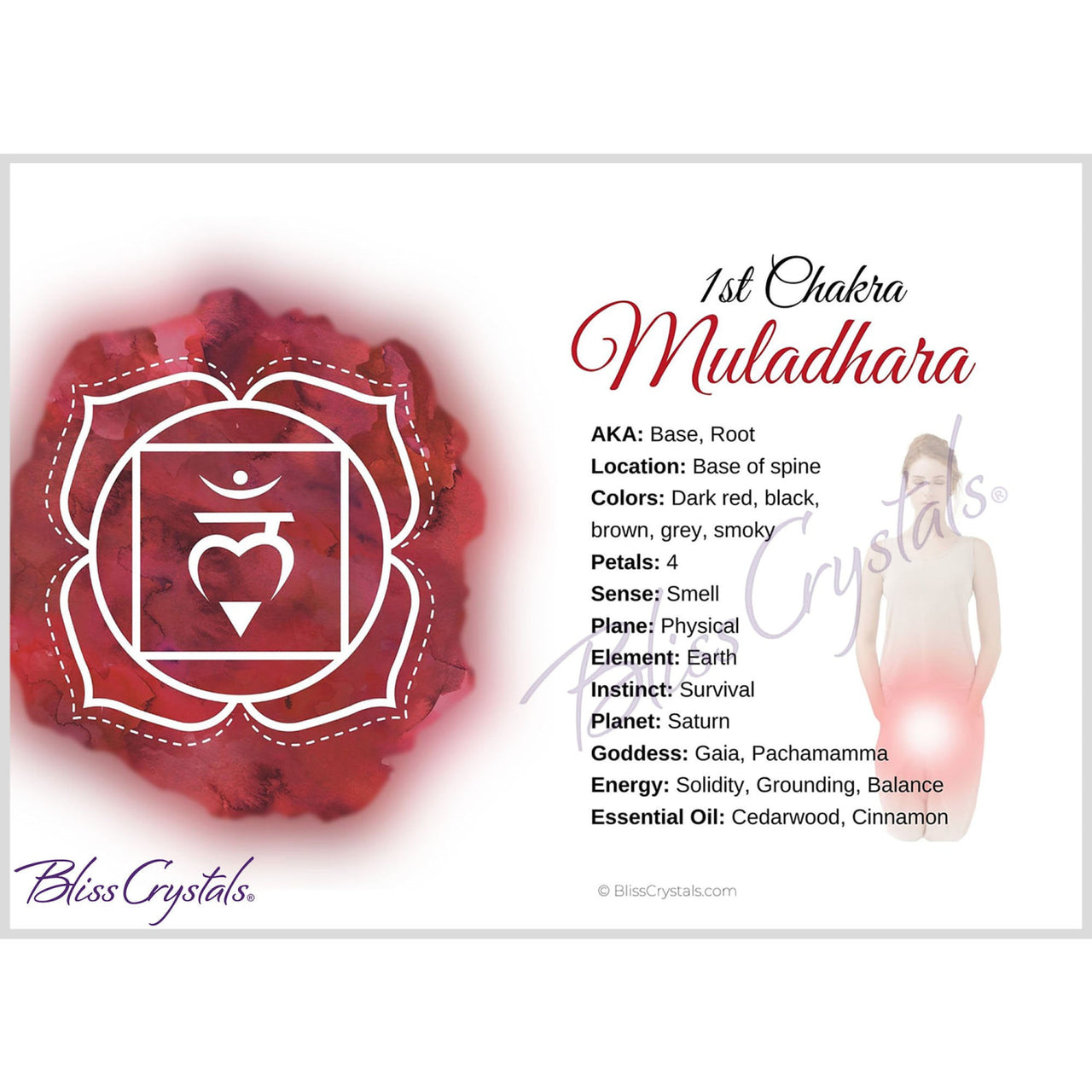 7 Chakra Information Card Set Double sided All 7 Chakra 