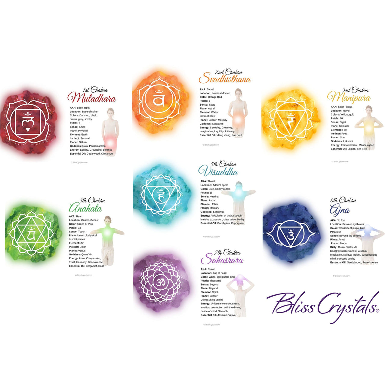 7 Chakra Information Card Set Double sided All 7 Chakra 