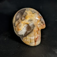 Thumbnail for Assorted Crystal Skull #C076