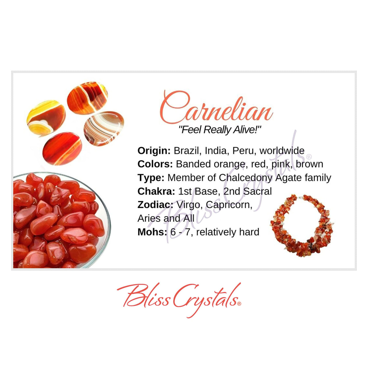 CARNELIAN Crystal Information Card Double sided #HC91