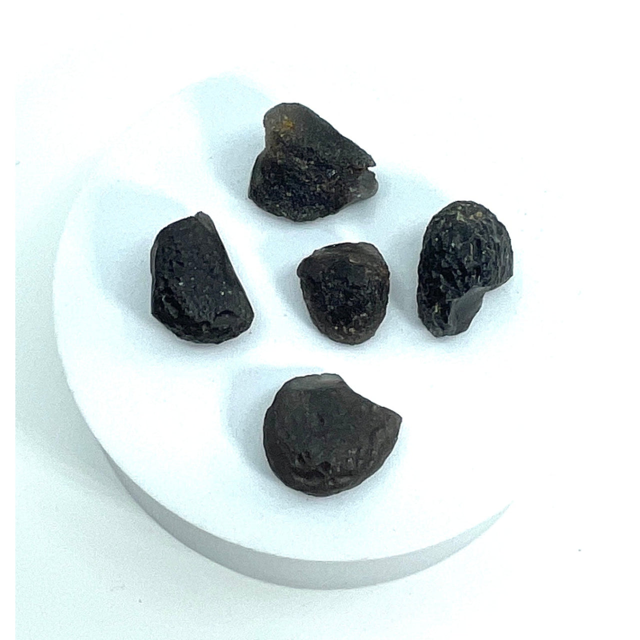 Columbianite Nugget Tektite + Info Card #SK7574 - $25