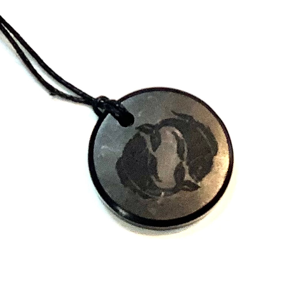 Shungite Zodiac Necklace #J584