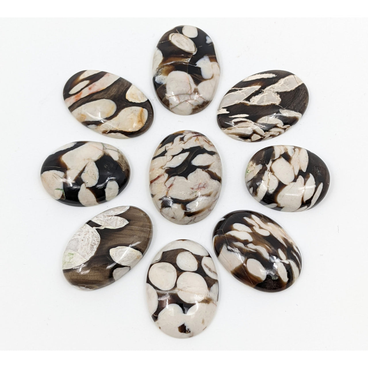 Peanut Wood Mini Cabochon (4g) #SK8309 - $9.95