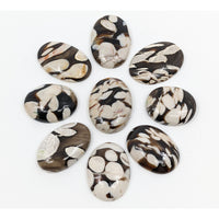 Thumbnail for Peanut Wood Mini Cabochon (4g) #SK8309 - $9.95