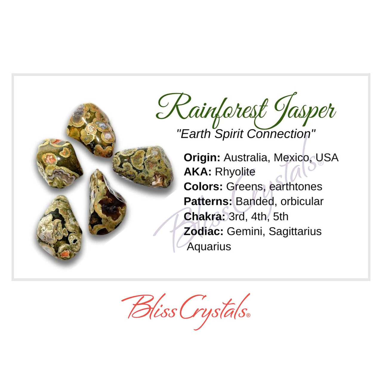 RAINFOREST JASPER Crystal Information Card Double sided 