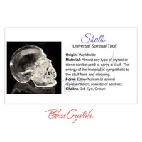 Thumbnail for SKULLS Crystal Information Card Double sided #HC111