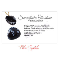 Thumbnail for SNOWFLAKE OBSIDIAN Crystal Information Card Double sided 