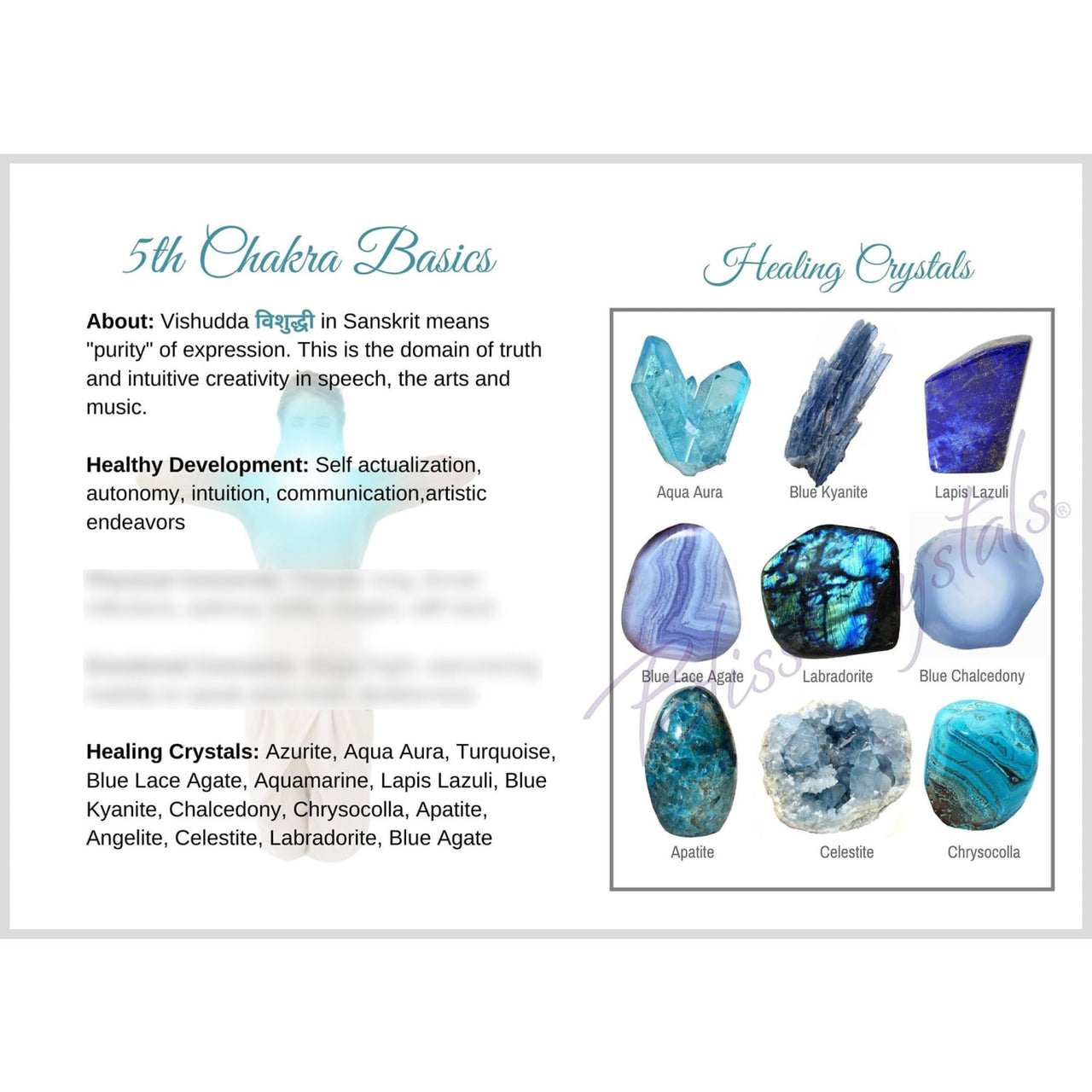 Throat 5th Chakra Visuddha Information Card Double sided 